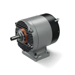 Crane Duty Motor