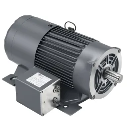 Explosion Proof Motor