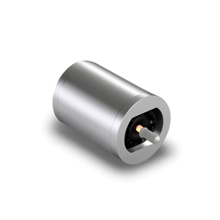 Flame Ionization Detector