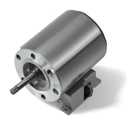 Hollow Shaft Motor