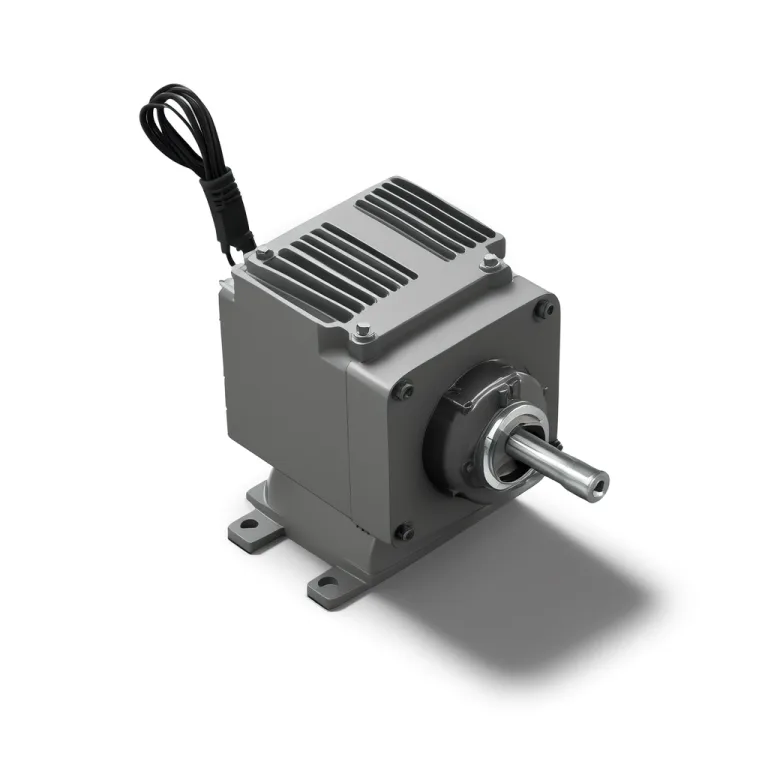 Industrial Induction Motor