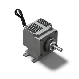 Industrial Induction Motor