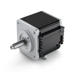 Low Voltage Motor